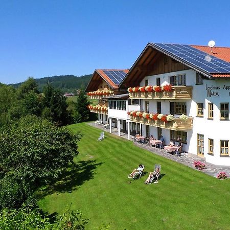 Landhaus Maria Bed&Breakfast Hotell Regen Exteriör bild